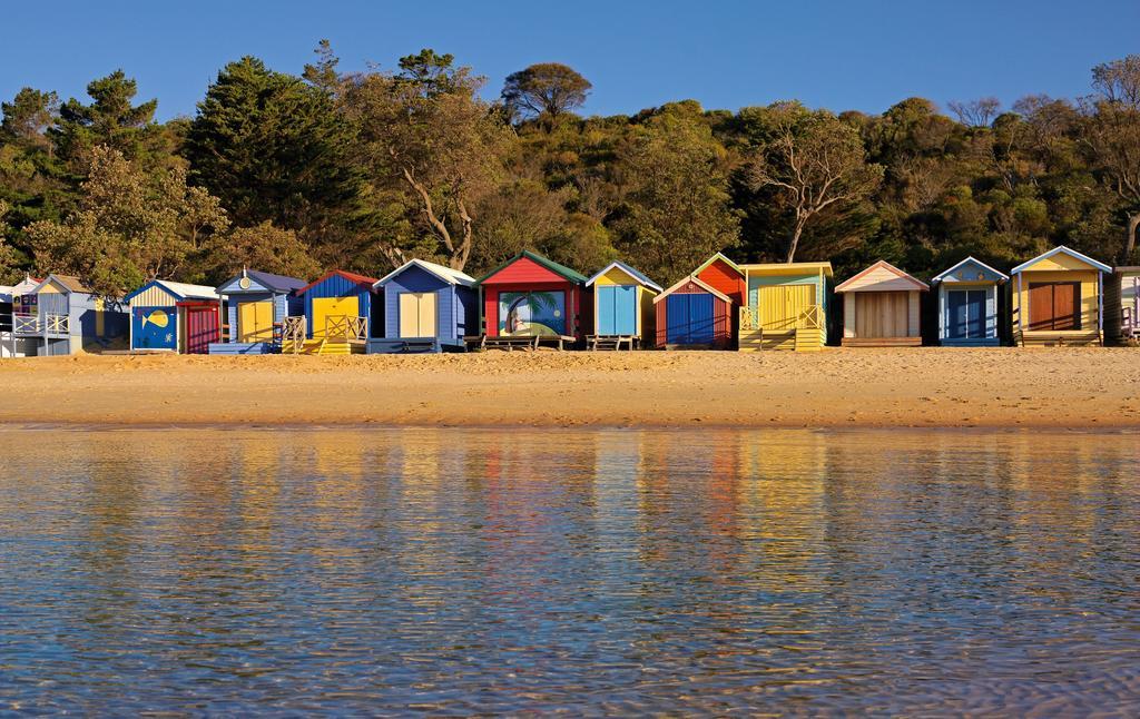 Bayplay Beach Cottage - Pet Friendly Queenscliff Bilik gambar